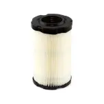 Õhufilter Briggs&Stratton 594201